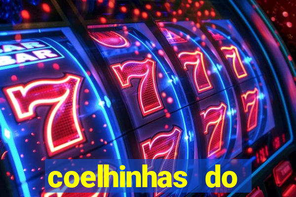 coelhinhas do brasil recife